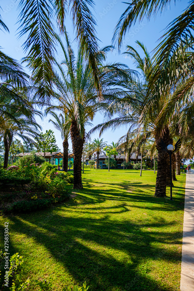 Obraz premium Exotic landscape