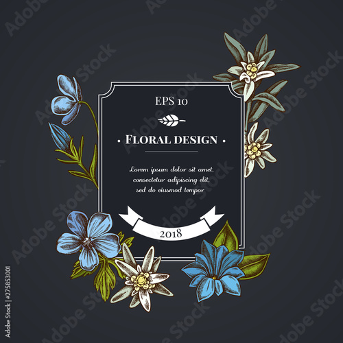 Dark badge design with edelweiss, meadow geranium, gentiana