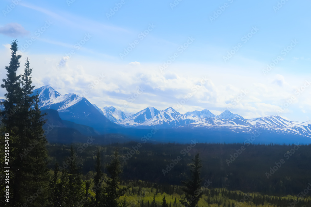 Fototapeta premium mountains of Denali National Park, Alaska, USA