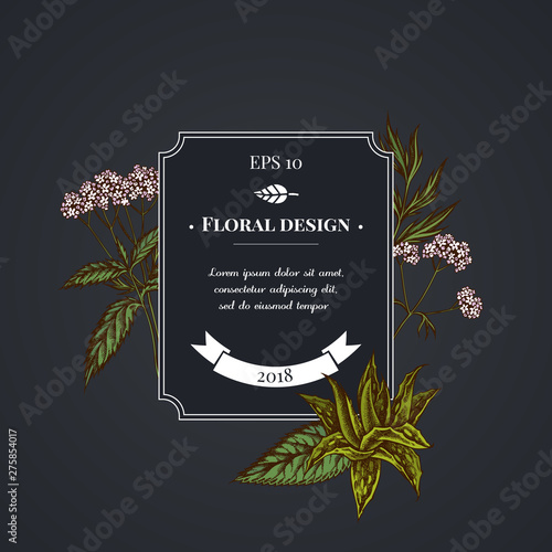Dark badge design with aloe, nettle, valerian
