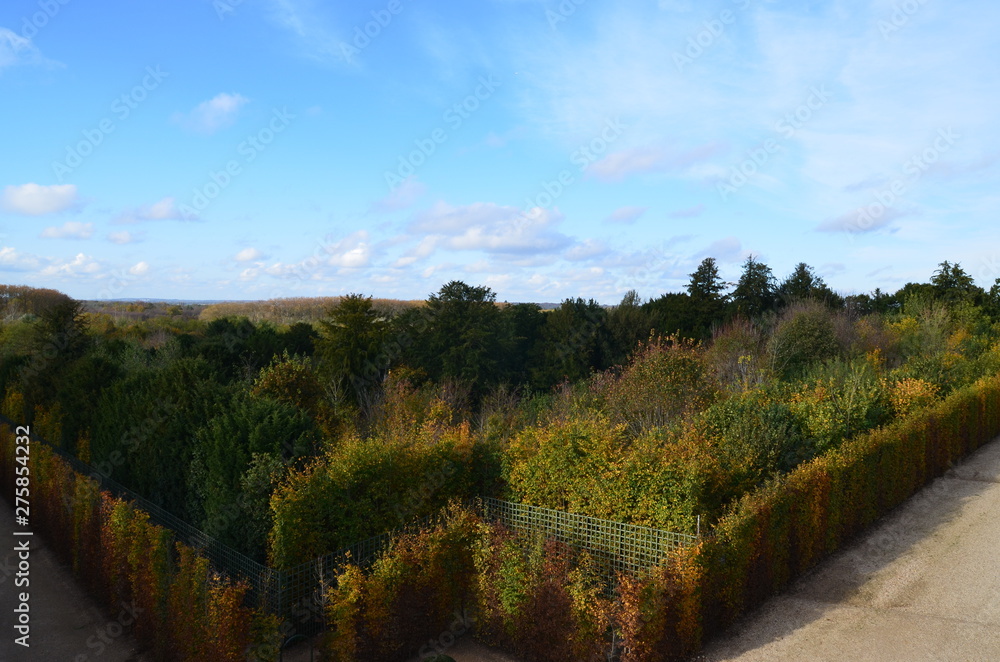 Obraz premium Autumn in the gardens of Versailles