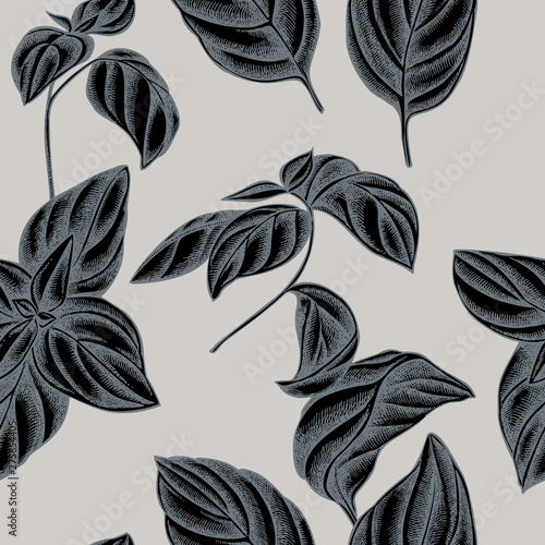 Seamless pattern with hand drawn stylized basil