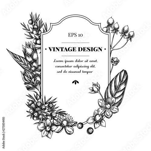 Badge design with black and white juniper, hypericum, turmeric