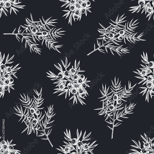 Seamless pattern with hand drawn chalk juniper