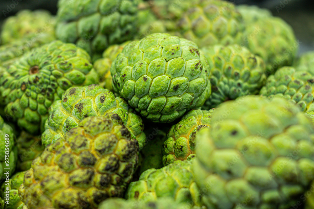 Obraz premium Close view of several Pinhia fruit. Fresh fruit from the northeast of brazil. green on the outside and white on the inside.