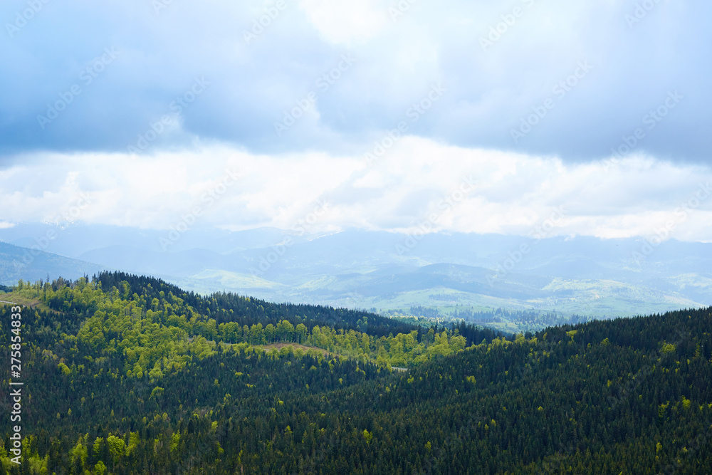 Obraz premium Outside landscape of splendid mountain view. There cloudy sky, hills are full of evergreen pine trees, cold cloudy weather, natural envorinment, place of tourist peaceful rest in unity with nature.