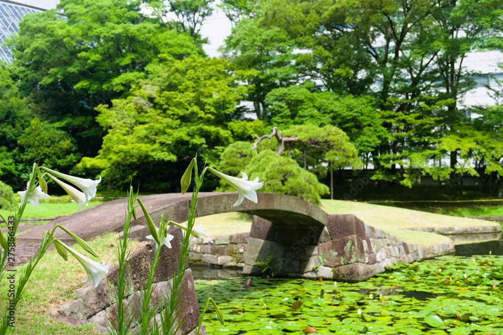bridge in japanese garden