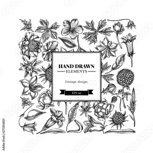 Square floral design with black and white bellflower, edelweiss, globethistle, globeflower, meadow geranium, gentiana