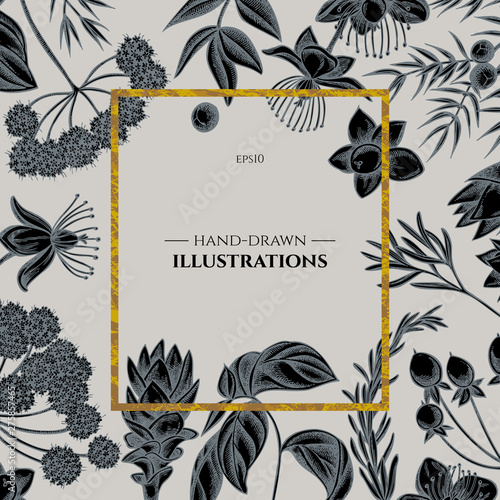 Badge over design with angelica, basil, juniper, hypericum, rosemary, turmeric