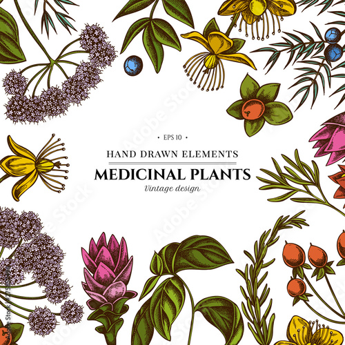 Floral design with colored angelica, basil, juniper, hypericum, rosemary, turmeric