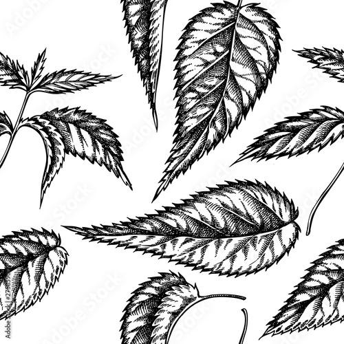 Seamless pattern with black and white nettle