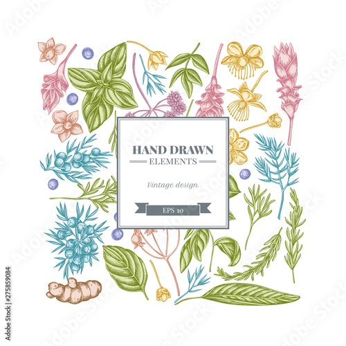 Square floral design with pastel angelica, basil, juniper, hypericum, rosemary, turmeric