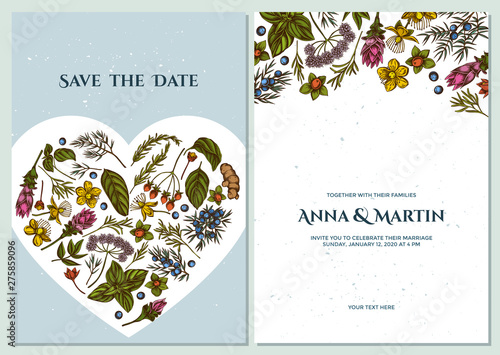 Wedding invitation card with colored angelica, basil, juniper, hypericum, rosemary, turmeric