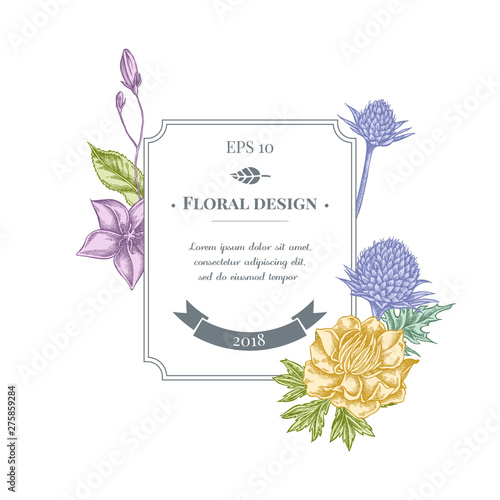 Badge design with pastel bellflower, globethistle, globeflower