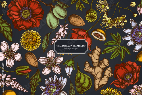 Floral design on dark background with almond, dandelion, ginger, poppy flower, passion flower, tilia cordata