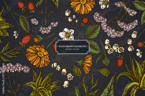 Floral design on dark background with aloe, calendula, lily of the valley, nettle, strawberry, valerian