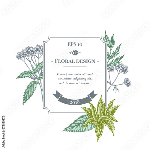 Badge design with pastel aloe, nettle, valerian