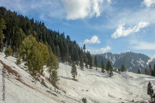 Malamjabba skiing resort snow mountains and pine trees photo