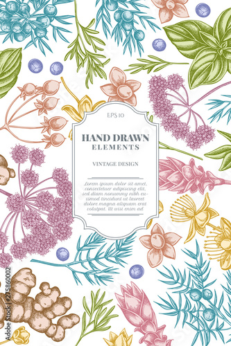 Card design with pastel angelica, basil, juniper, hypericum, rosemary, turmeric