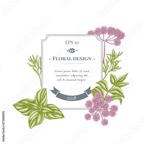Badge design with pastel angelica, basil, rosemary