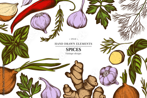 Floral design with colored onion, garlic, pepper, greenery, ginger, basil, rosemary