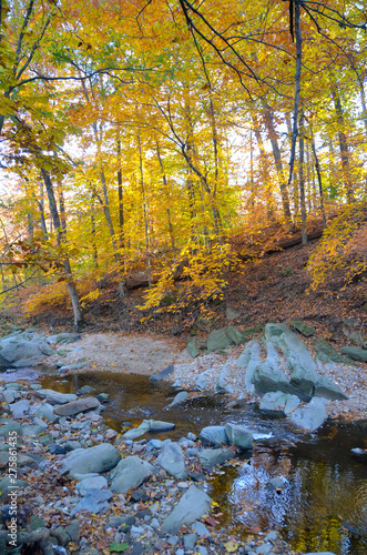 Fall Park in Virginia USA