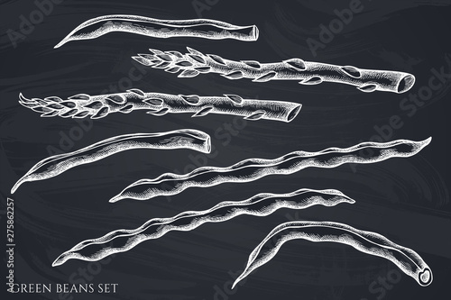 Vector set of hand drawn chalk green beans