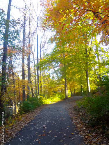 Fall Park in Virginia USA