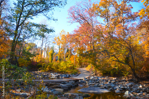 Fall Park in Virginia USA © Faris