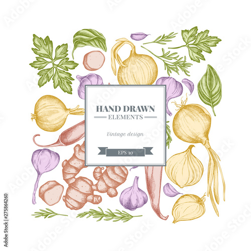 Square floral design with pastel onion, garlic, pepper, greenery, ginger, basil, rosemary