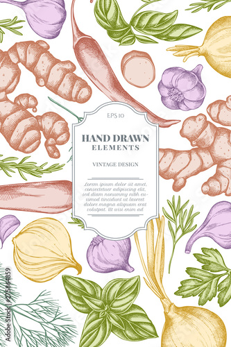 Card design with pastel onion, garlic, pepper, greenery, ginger, basil, rosemary