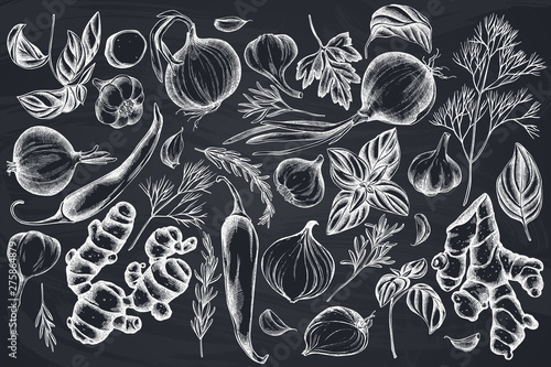 Vector set of hand drawn chalk onion, garlic, pepper, greenery, ginger, basil, rosemary