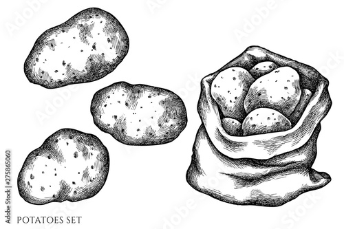 Vector set of hand drawn black and white potatoes