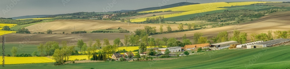 Moravian village and its fields in the spring, spring panorama of fields sown with cereals, flourishing rape fields and lands prepared for corn, landscape of southern Moravia, rural areas