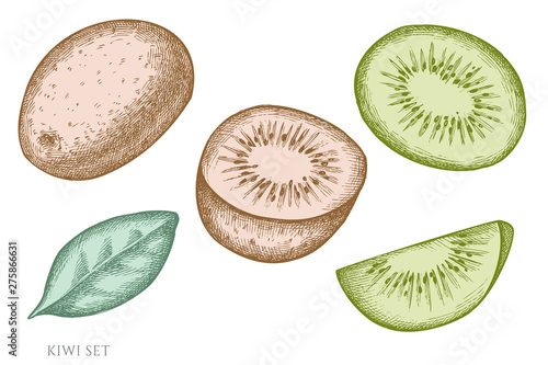 Vector set of hand drawn pastel kiwi