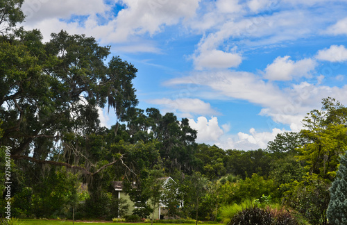 Florida Tropical Garden Landscape with Cloudy Sky
