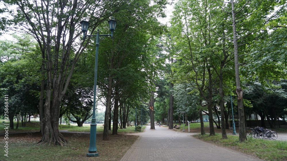 彩の森 入間公園 彩の森 入間公園