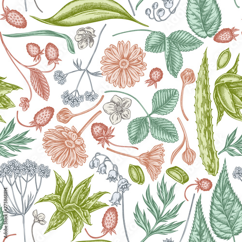 Seamless pattern with hand drawn pastel aloe, calendula, lily of the valley, nettle, strawberry, valerian
