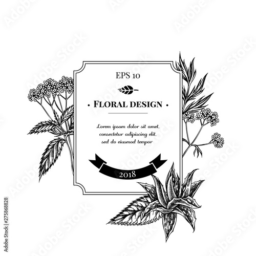 Badge design with black and white aloe, nettle, valerian