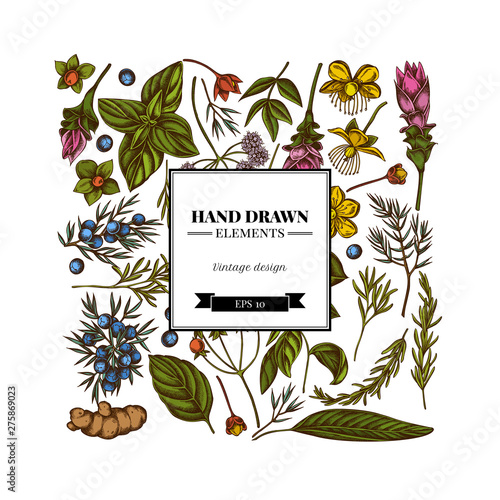 Square floral design with colored angelica, basil, juniper, hypericum, rosemary, turmeric