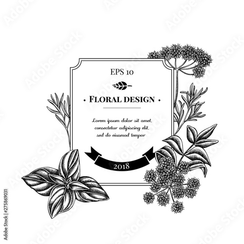 Badge design with black and white angelica, basil, rosemary