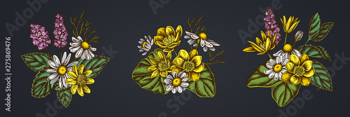 Flower bouquet of celandine, chamomile, peppermint