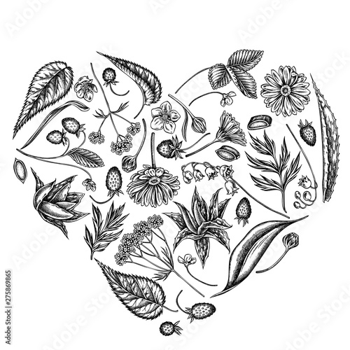 Heart floral design with black and white aloe, calendula, lily of the valley, nettle, strawberry, valerian