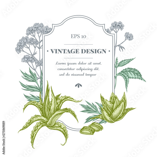 Badge design with pastel aloe, nettle, valerian