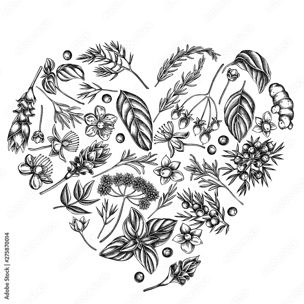 Fototapeta premium Heart floral design with black and white angelica, basil, juniper, hypericum, rosemary, turmeric