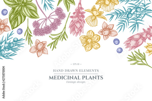 Floral design with pastel angelica, basil, juniper, hypericum, rosemary, turmeric