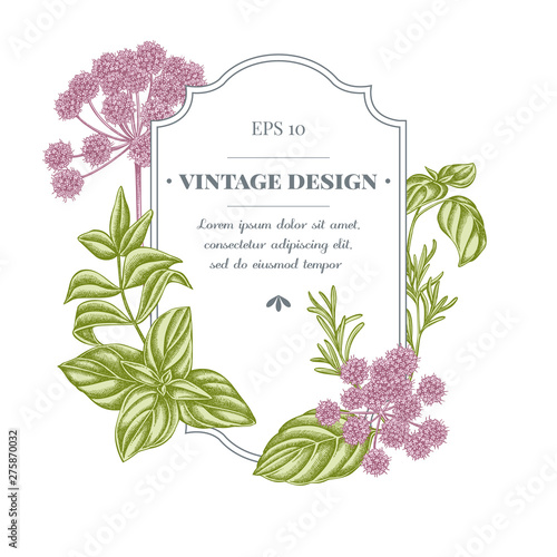 Badge design with pastel angelica, basil, rosemary