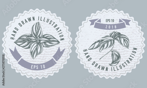 Monochrome labes with basil stock illustration