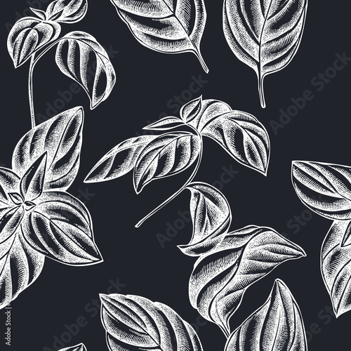 Seamless pattern with hand drawn chalk basil