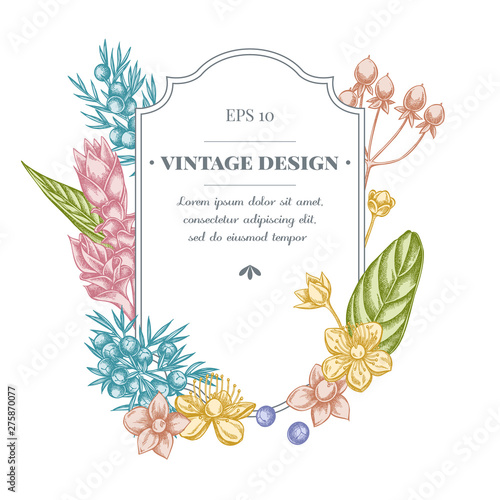 Badge design with pastel juniper, hypericum, turmeric